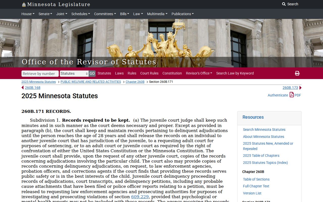 Mower County criminal court dockets juvenile access statute reference